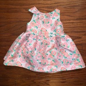 Janie and Jack 3-6M Floral Party Dress